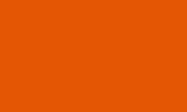 RAL 2009 - Traffic Orange