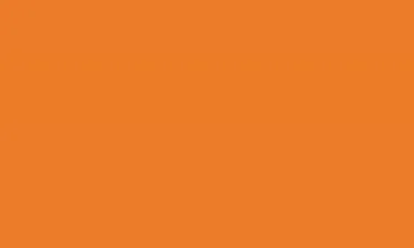 RAL 2011 - Deep Orange